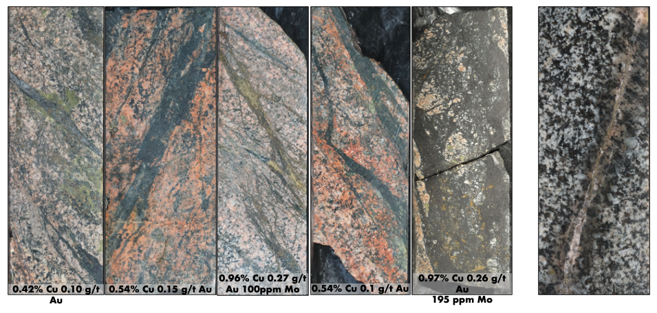 Main Rock Types Of Matilda Target